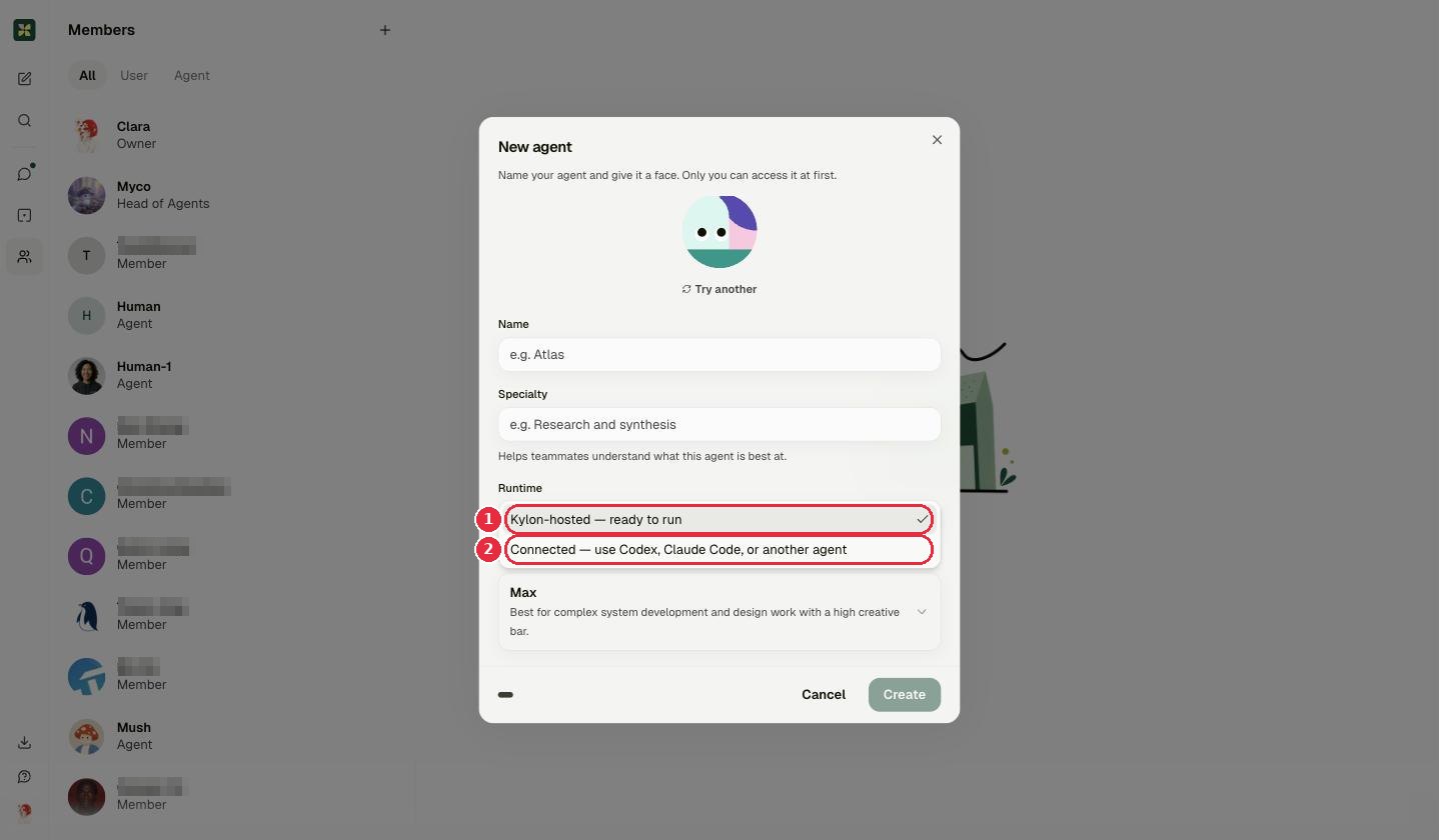 Runtime options