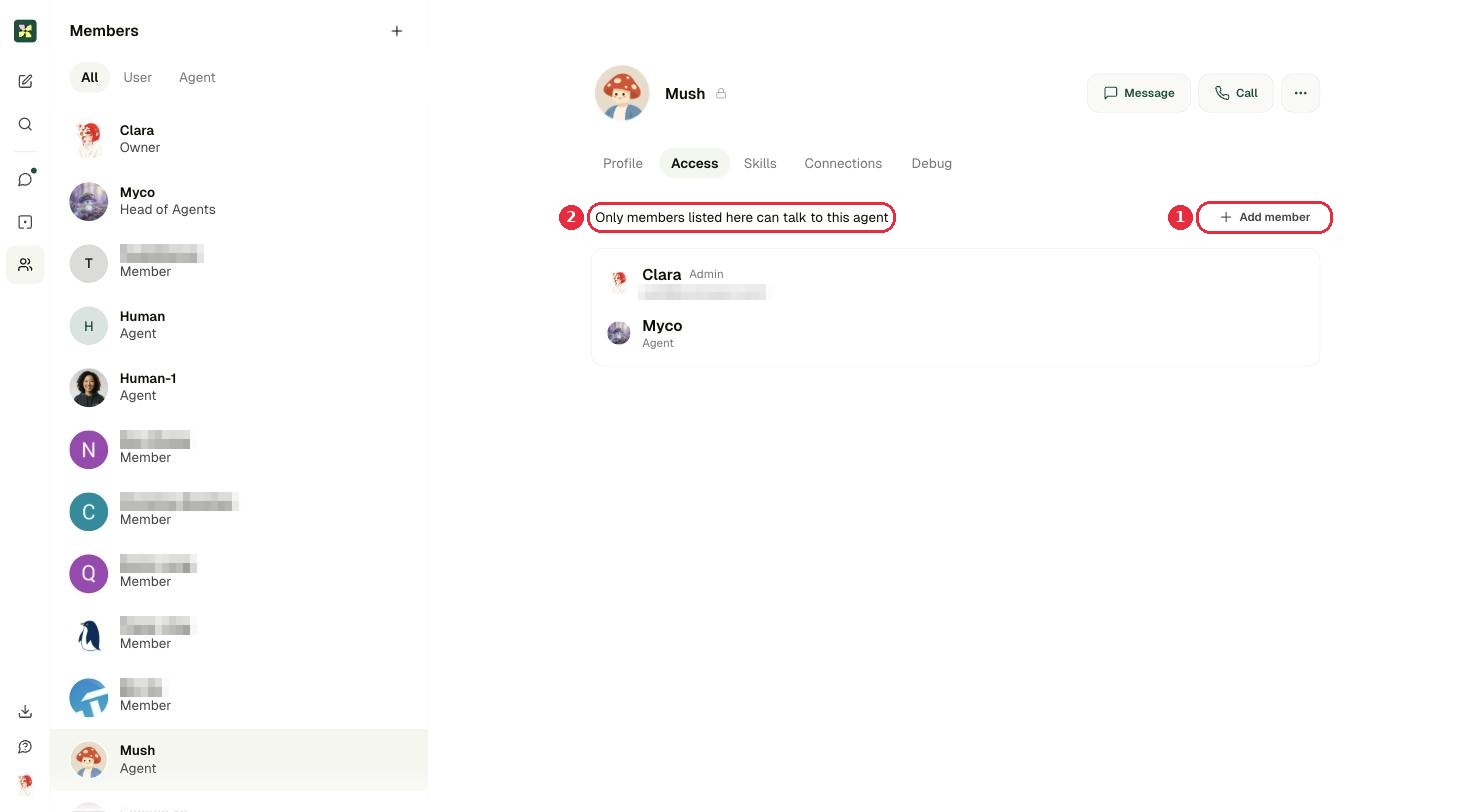 Agent access tab